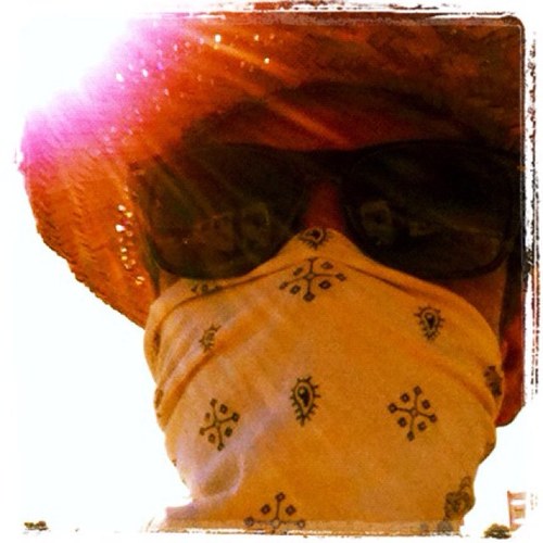 Maxima247's profile picture. Cardinals fan ⚾️ , live music enthusiast 🎶 and dog lover. 🐾 Venue Marketing Manager for @LiveNation