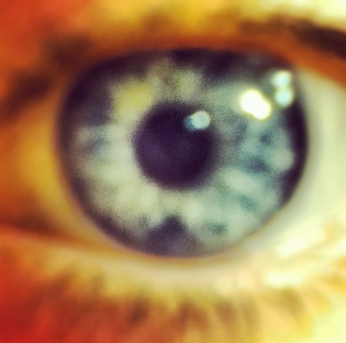 Poopitha's profile picture. i like cats. i have beautiful eyes. i am pip