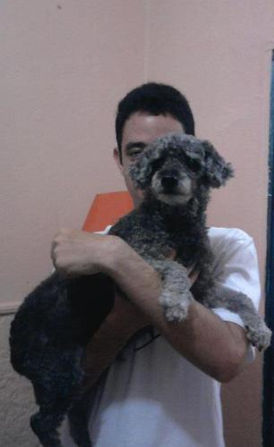 _Lopes_Bruno's profile picture. 