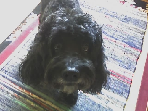 lukasenm's profile picture. Economista, Magister en Economía, PhD. Observador de la realidad de la vida