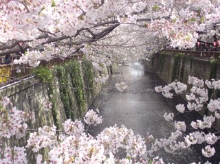 16hero32's profile picture. simple life & high thinking, self-help