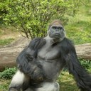 AJ Parker - @AJ_Parker5 - Twitter