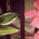 erika bergmann - @BergmannErika - Twitter