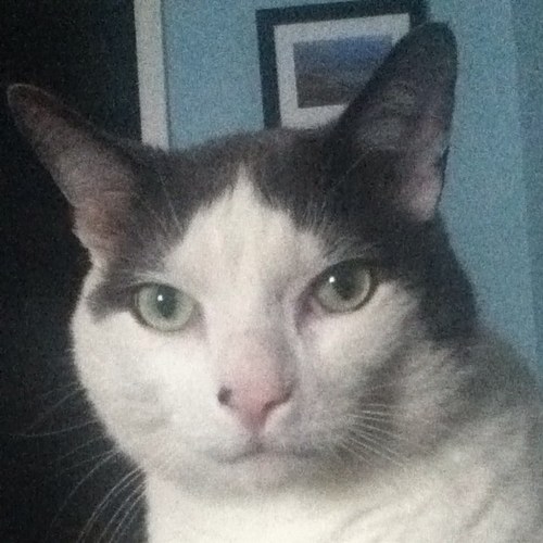 KristenWebb's profile picture. Nurse, Foodie, Glamper