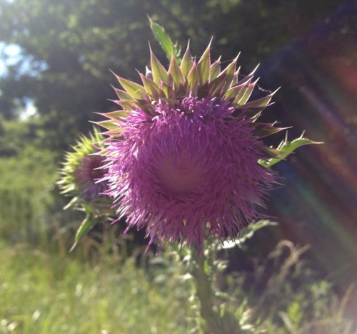 mmkday's profile picture. 