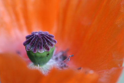 Change leadership & management, coaching and people. Photography, nature, pop-choir. Adopted West Londoner.