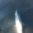 Samuel Bates - @iSamuelBates - Twitter