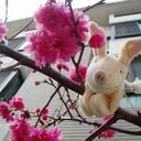 Lexie Chen - @Molly0318 - Twitter