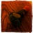 MRumbaugh27's profile image