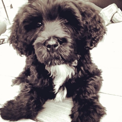 asmoore91's profile picture. 