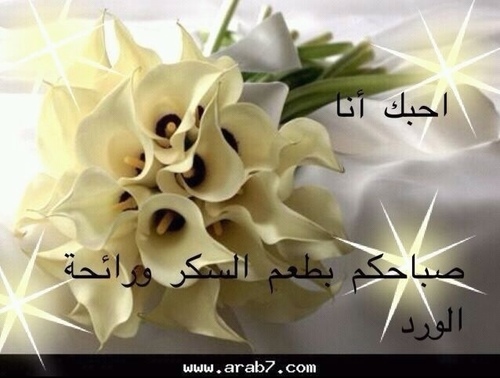 اين هي