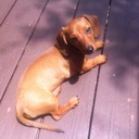 Charlee Newman - @CharleeNewman - Twitter