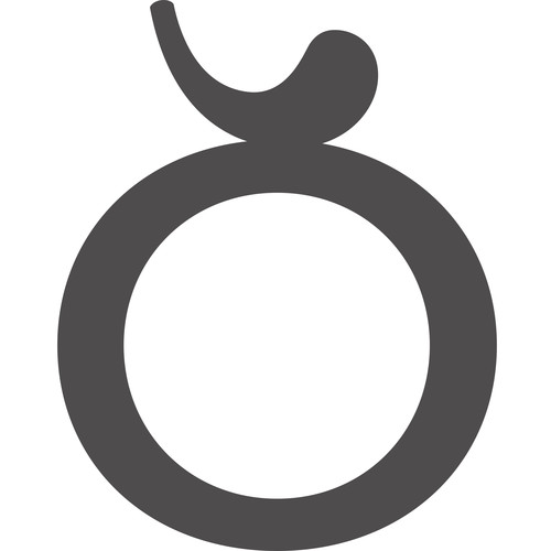 Trendy sieraden en horloges van eigentijdse merken: Guess, Trollbeads, Buddha to Buddha, Swatch, TiSento, Tissot, Mi Moneda, TW Steel, Alfex, ITA, Charming