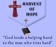 Founder and President of Harvest the Hope Little Valley, New York.