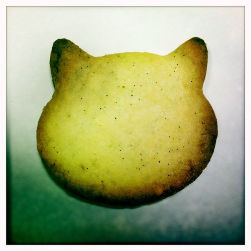 bessietiger's profile picture. 