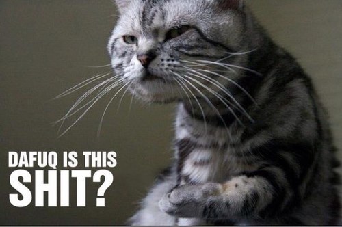 Minfun01's profile picture. 