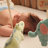 Firsttimemums's profile image