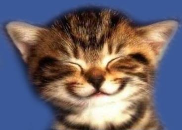 MikiKane's profile picture. 