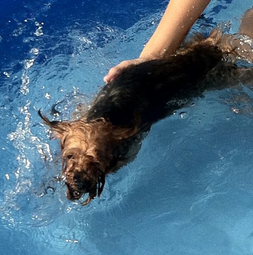 katiiekelly1's profile picture. 