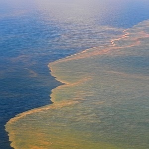 Your source for the latest news on Gulf Coast Oil Spill