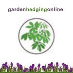 Garden Hedging Plants on-line. Probably the best value for money hedging site. That keeps on growing!