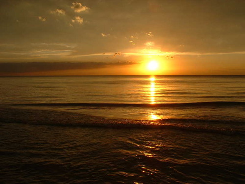 marrsbasss's profile picture. ;)