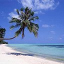 Pam Dodson - @plsd952 - Twitter