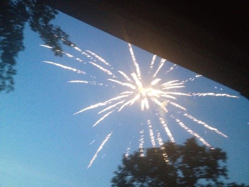 SueEllenLawton's profile picture. Proud Obama Alum, Nonprofit Consultant, cat whisperer, Historic House DIY queen, who believes in the Golden Rule and random acts of kindness above all else.