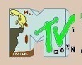 МТВ - ГОВНО!