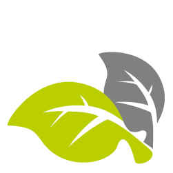 FloraLinQ de link naar groene inspiratie!