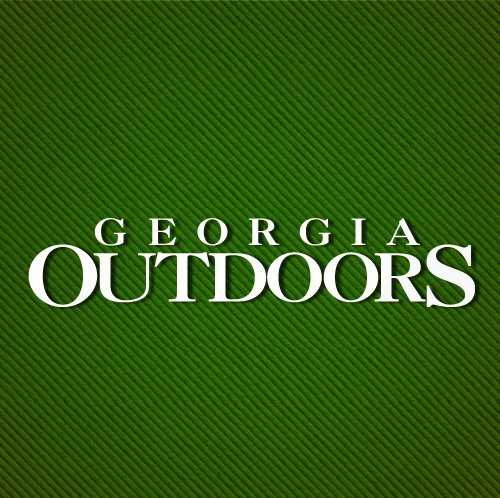 We make a bright little television show for Georgia Public Broadcasting. It's about the state of nature in our state. You should watch!