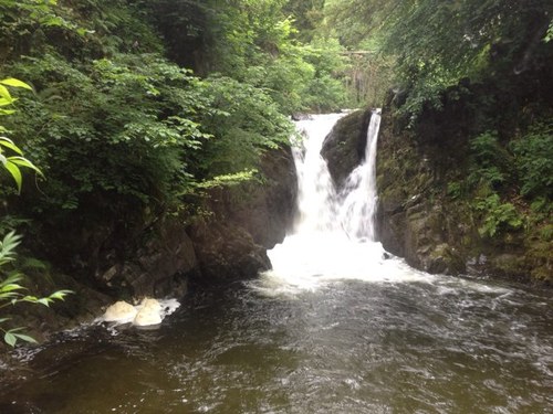 mmikeplatt's profile picture. 