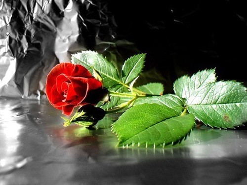 Make no mistake between my personality and my attitude.My personality is who I am,my attitude depends on who you are.