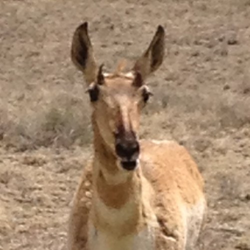 cwierl's profile picture. 