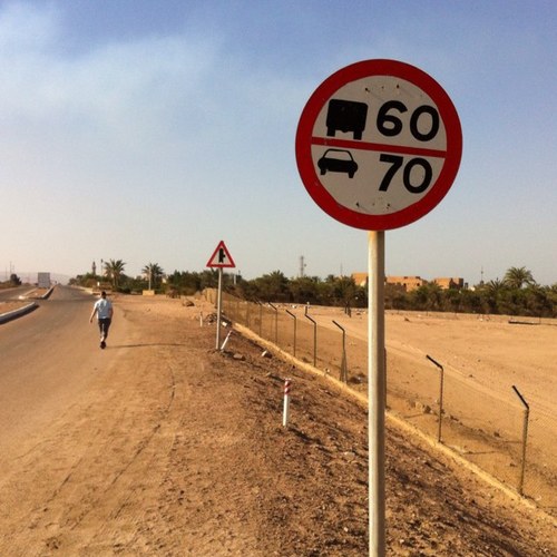 krister117's profile picture. Harness racing worldwide.