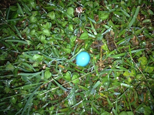 tetheredinnovat's profile picture. We have developed tech to greatly enhance a childs chance for safe recovery in cases of abduction. #missingkids #findthemissing