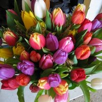 Peter Nyssen Ltd (@peternyssenltd) 's Twitter Profile