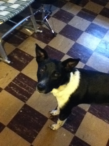 nathan_buck0's profile picture. I am a nice guy who loves video games, Doritos, Leaders Club, Pokemon and Band