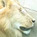 Colby Compton - @ColbyCompton - Twitter