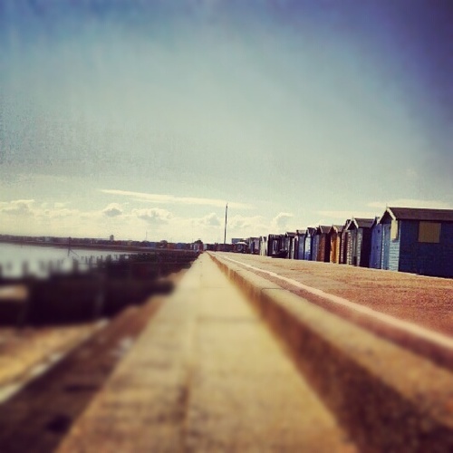 alipoo89's profile picture. 