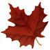 Resources Canada (@resourcescanada) Twitter profile photo