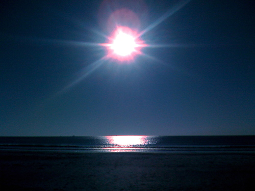 BeachNatural's profile picture. Inspired to build a sustainable, regenerative Cocoa Beach through eco-friendly tourism.