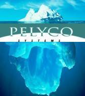 Pelyco Systems is the leading provider of Spreadsheet Management and Collaborative Visibility Solutions for logistics and supply chain intensive companies.