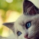 Ana Filip - @AnaFilip2007 - Twitter