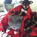 Elmer Mitchell - @ElmerMitchell1 - Twitter