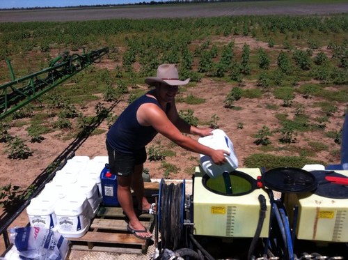 Dobbstom's profile picture. Lincolnshire Uk born....
Passionate about agricultre 
Found myself here