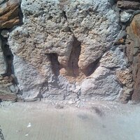 bill allen (@rancisfa) 's Twitter Profile