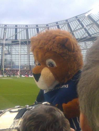 A Leinster and Rugby Addict.  Devout to the end.