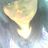 toribrown_12's profile image