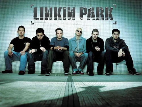 Amo Link Park !